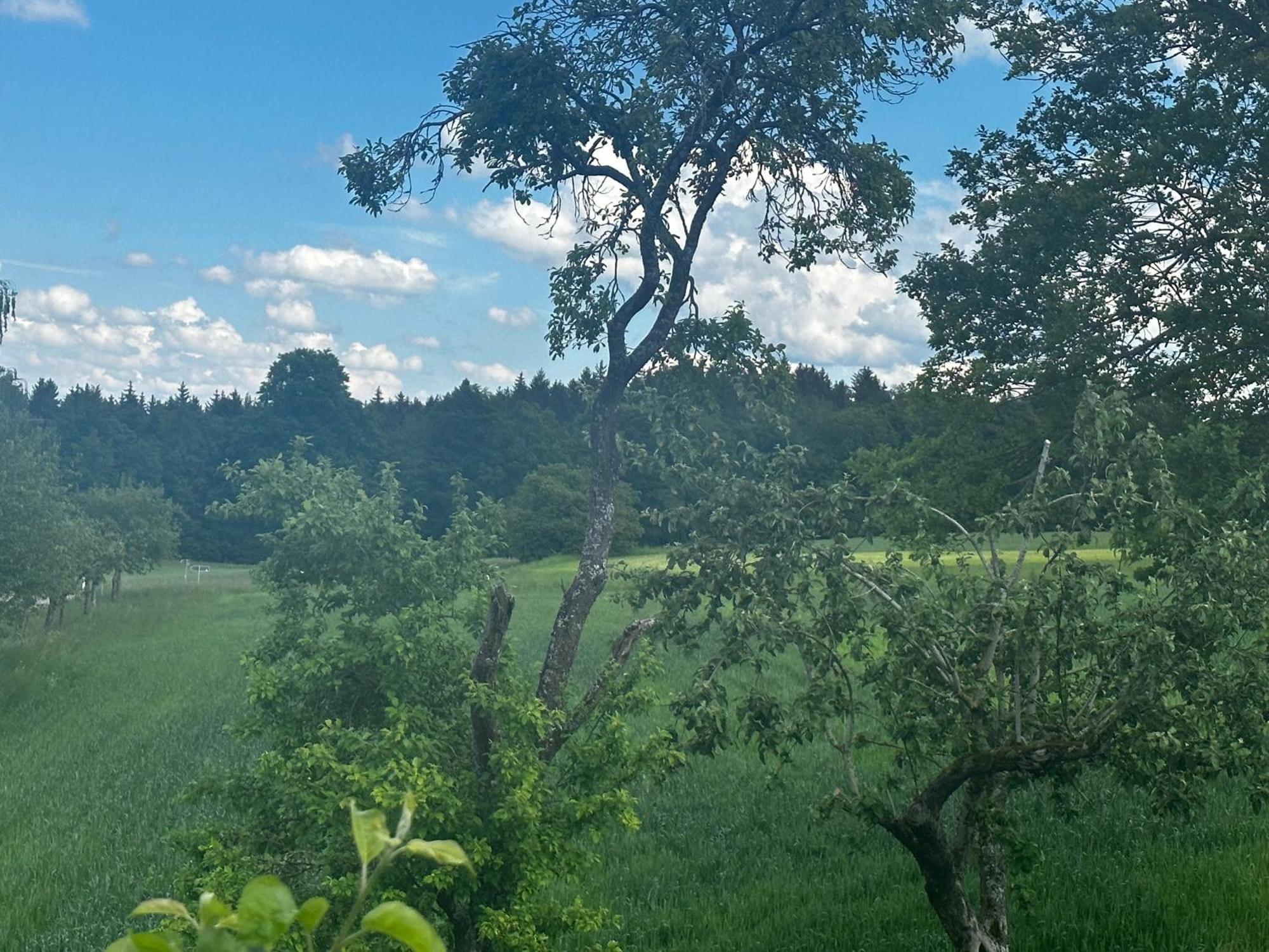 Ferienunterkunft Schwaebischer Wald Oberrot Kültér fotó